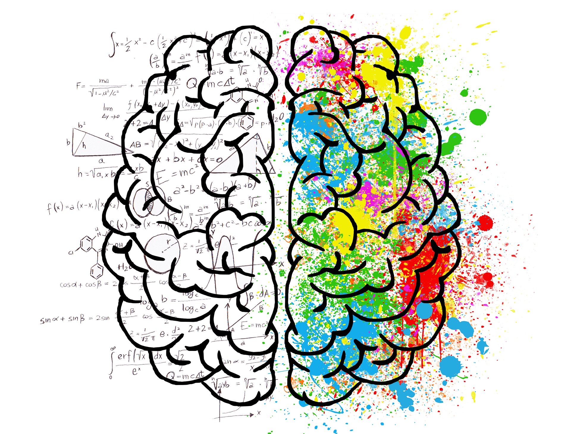 brain drawing showing analytical and creative parts of the brain