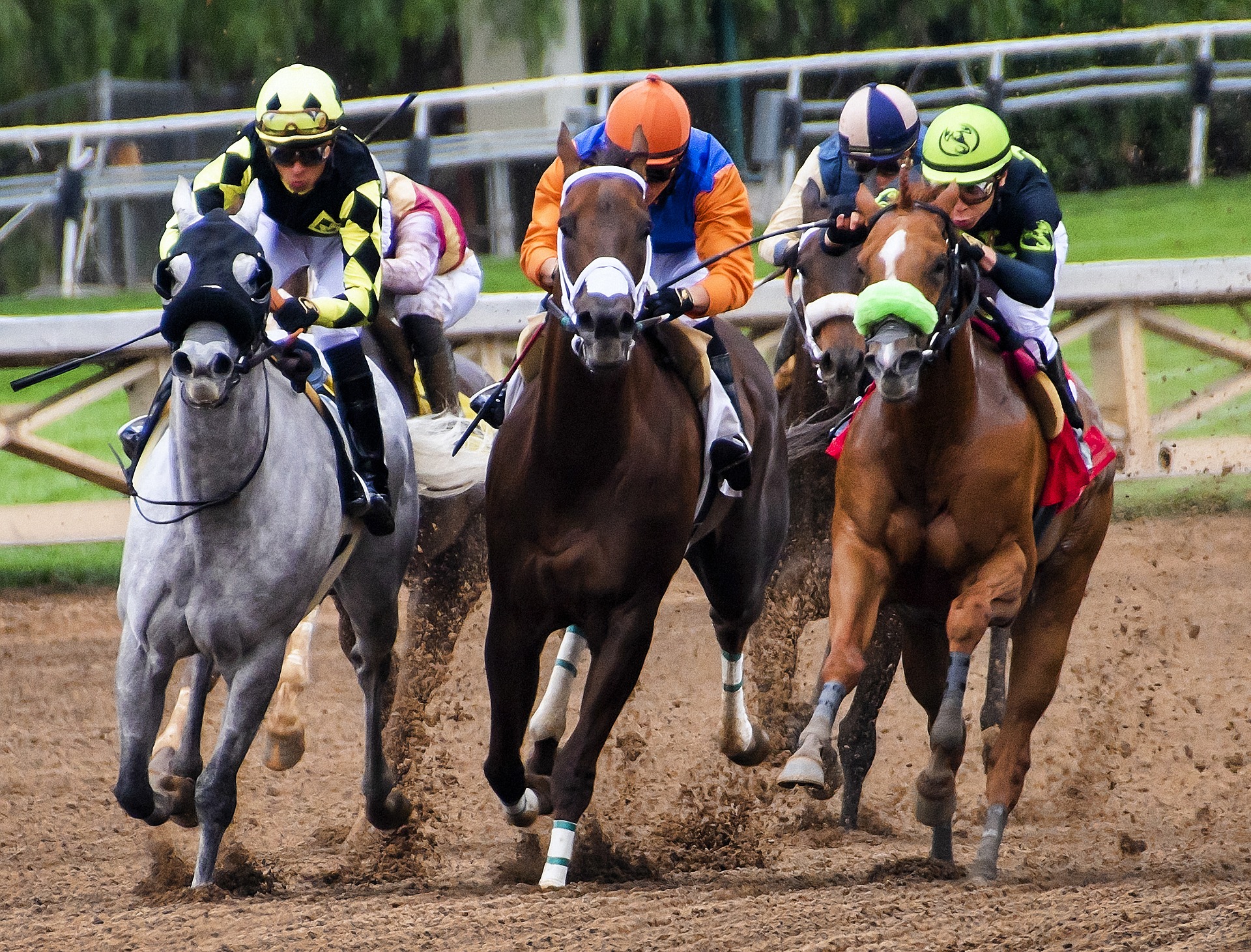 day at the horse races